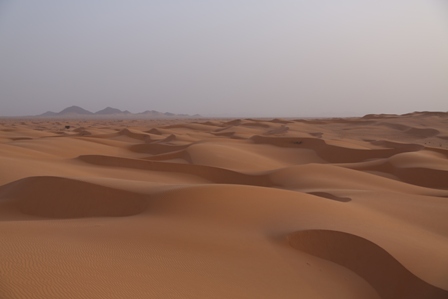 Mer de dune en Mauritanie